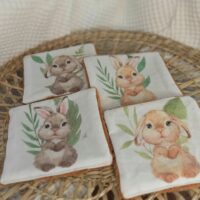 Lingette lavable Lapinou